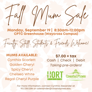 Photo for Coastal Pines Horticulture Program to Host Mum Sale